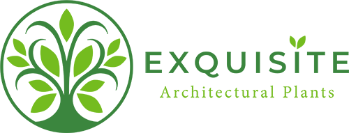 Exquisite Plants Logo